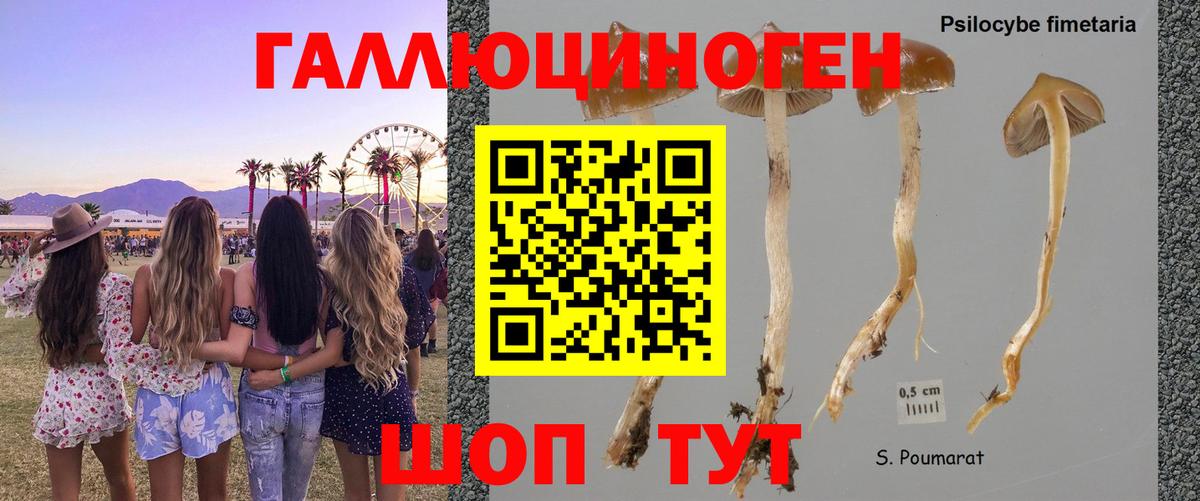 Пушкино  закладки  Вход с VPN  Галлюциногенные грибы мухоморы 